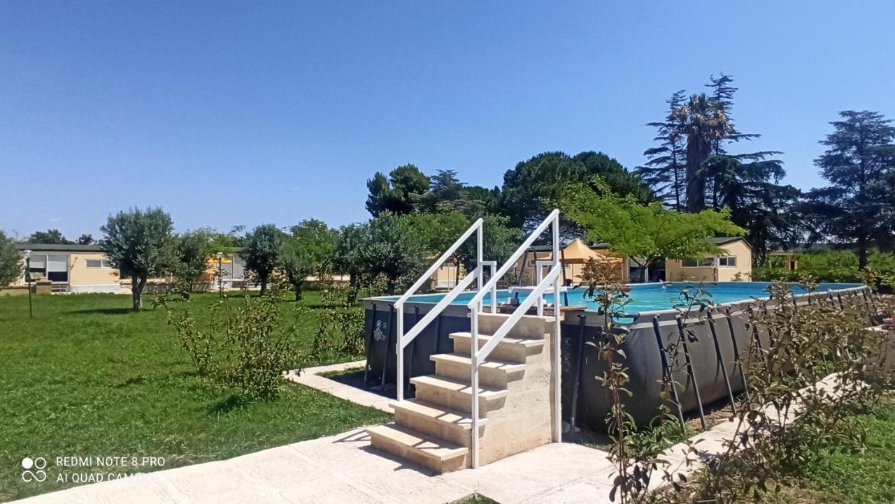 Agriturismo L' Annunziata 리짜노 외부 사진