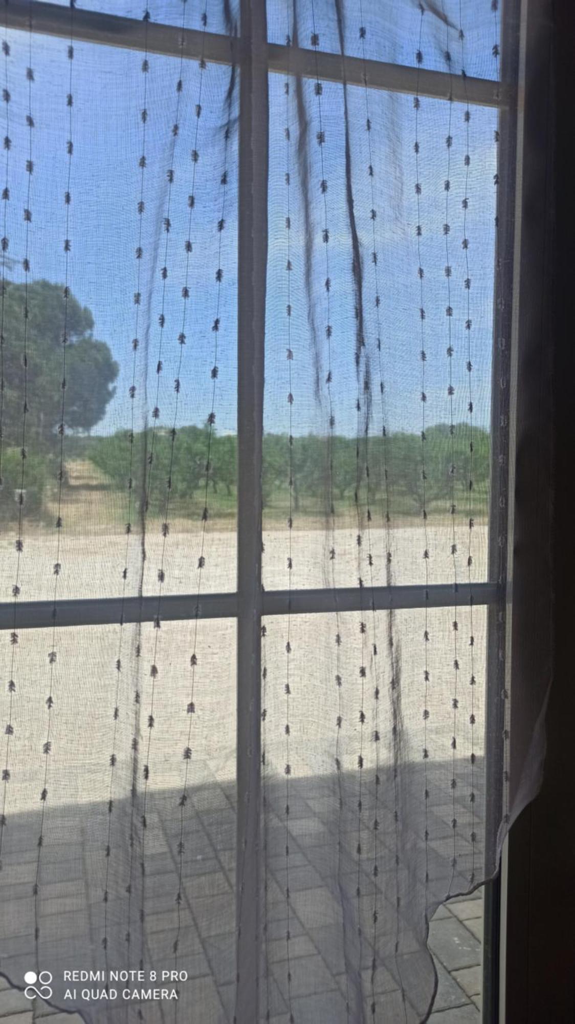 Agriturismo L' Annunziata 리짜노 객실 사진