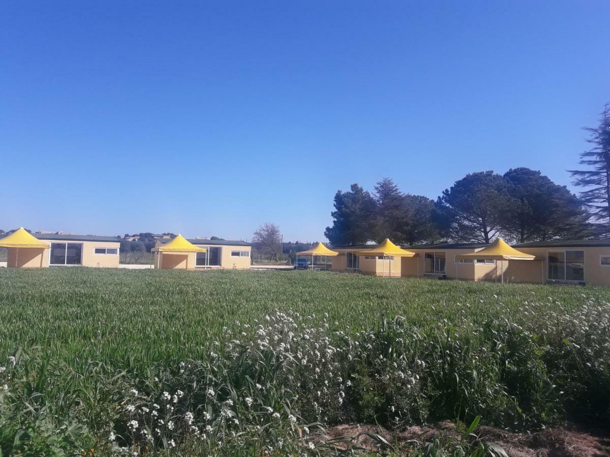 Agriturismo L' Annunziata 리짜노 외부 사진