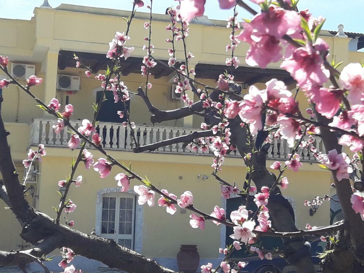 Agriturismo L' Annunziata 리짜노 외부 사진