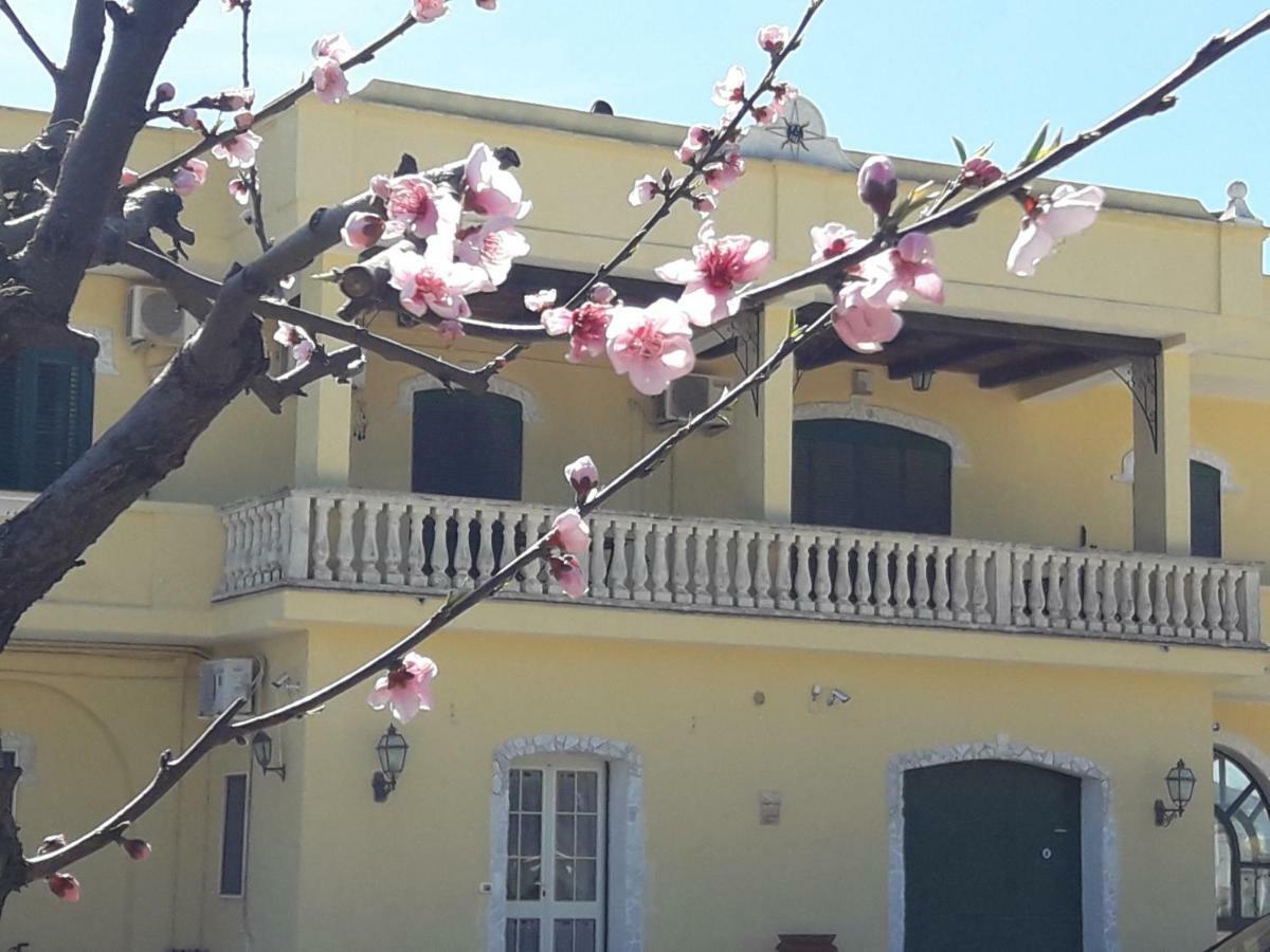 Agriturismo L' Annunziata 리짜노 외부 사진