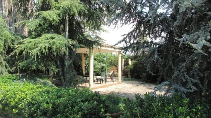 Agriturismo L' Annunziata 리짜노 외부 사진